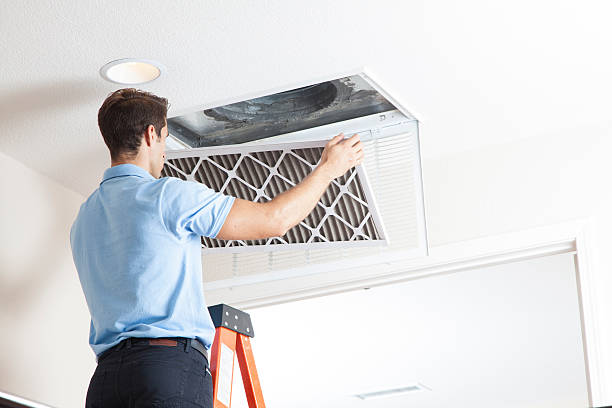Best Air Filters and Purifiers in Wilsonville, AL